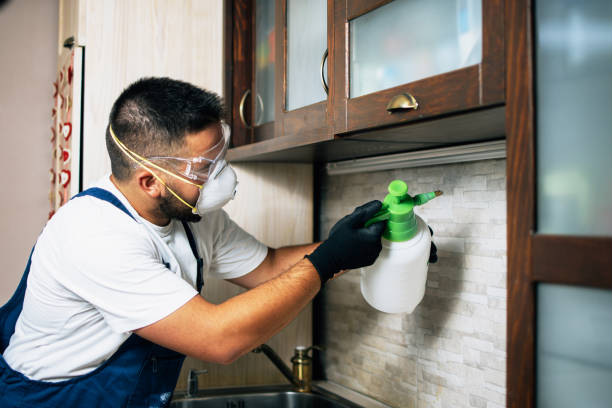 Best Pest Inspection Near Me  in Prattville, AL