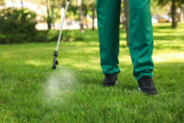 Best Flea Control Services  in Prattville, AL