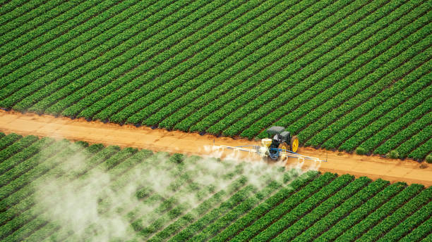 Best Mosquito Control Services  in Prattville, AL