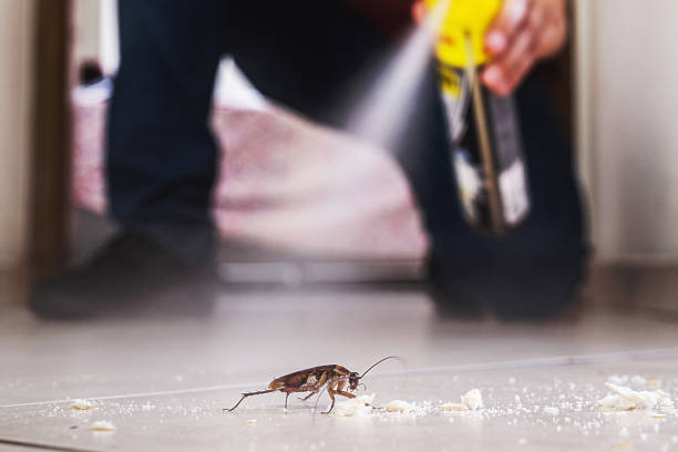 Best Spider Control Near Me  in Prattville, AL